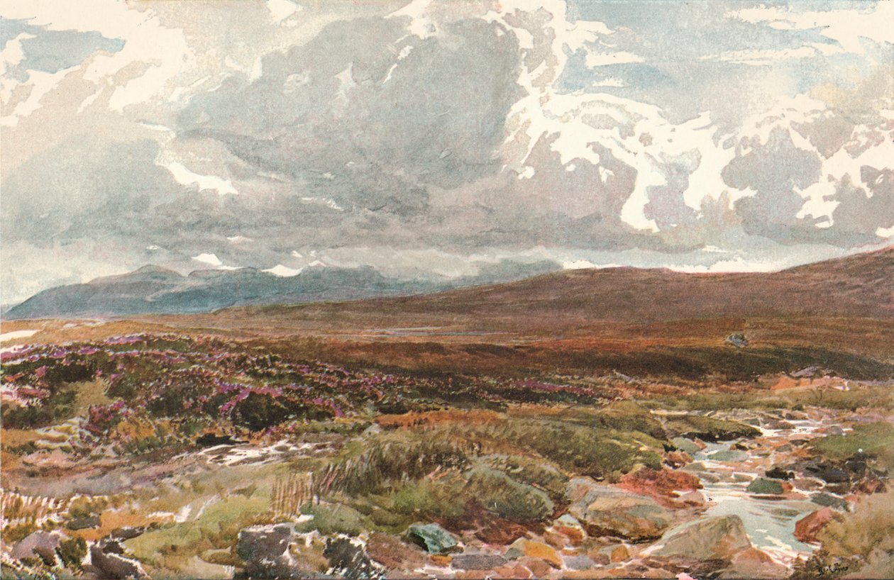 Sussex Common, ok. 1889 r. autorstwa Thomas Collier