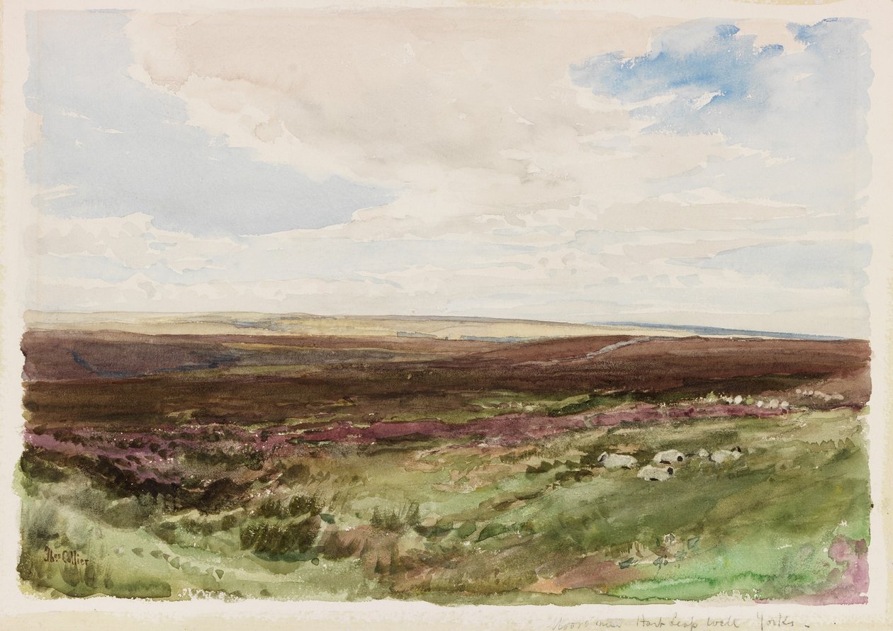 Moorland near Hart Leap Well, Yorkshire (akwarela na papierze) autorstwa Thomas Collier