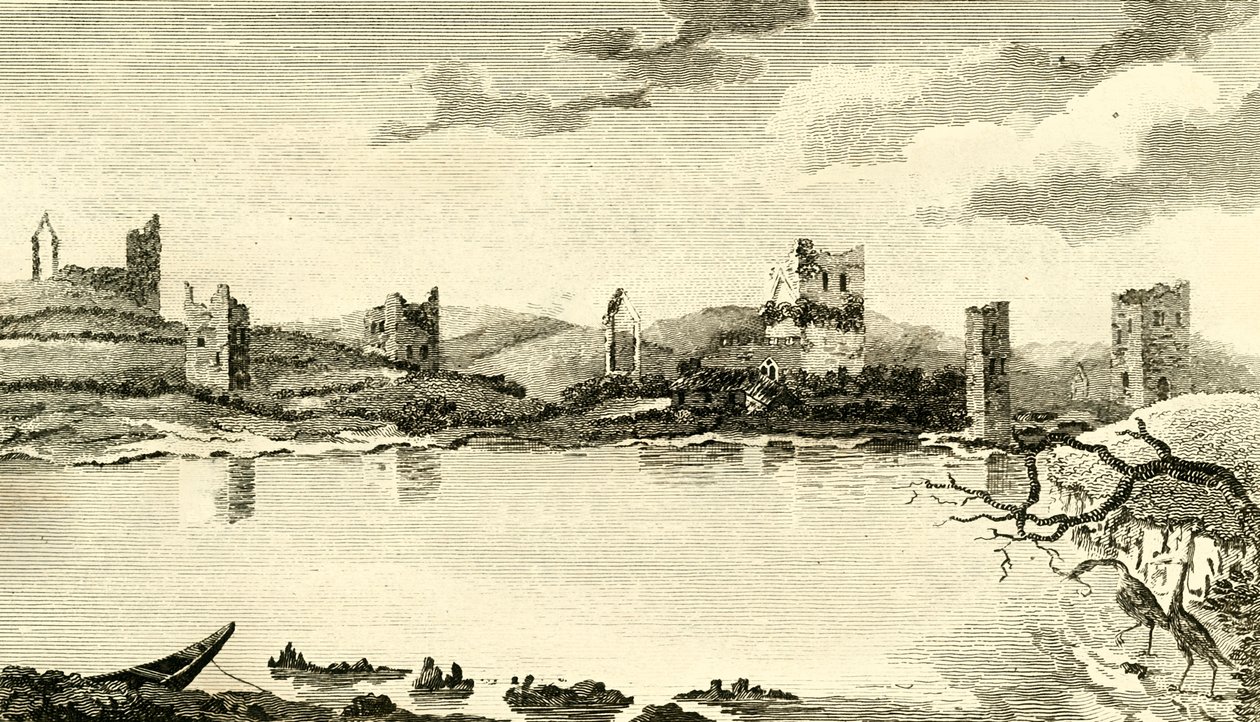 N. Widok ruin Clomines, hrabstwo Wexford, 1791. autorstwa Thomas Cook