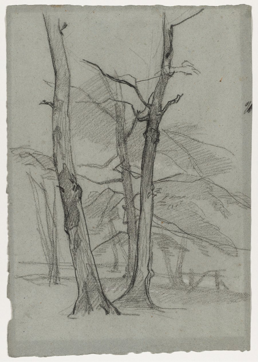 Studium krajobrazu z drzewami, c. 1870-1875. autorstwa Thomas Couture