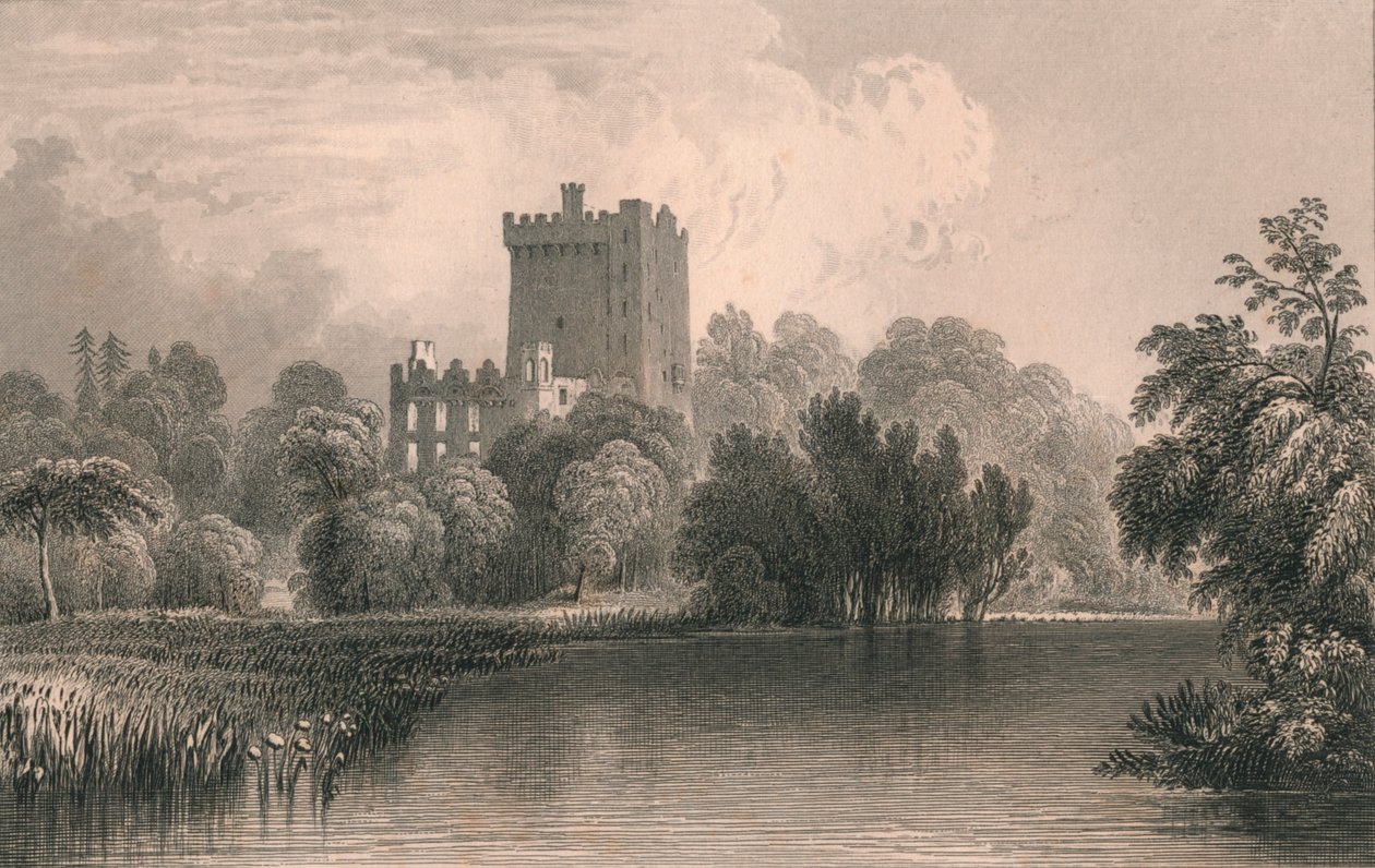 „Zamek Blarney, hrabstwo Cork”, 1831. autorstwa Thomas Dixon