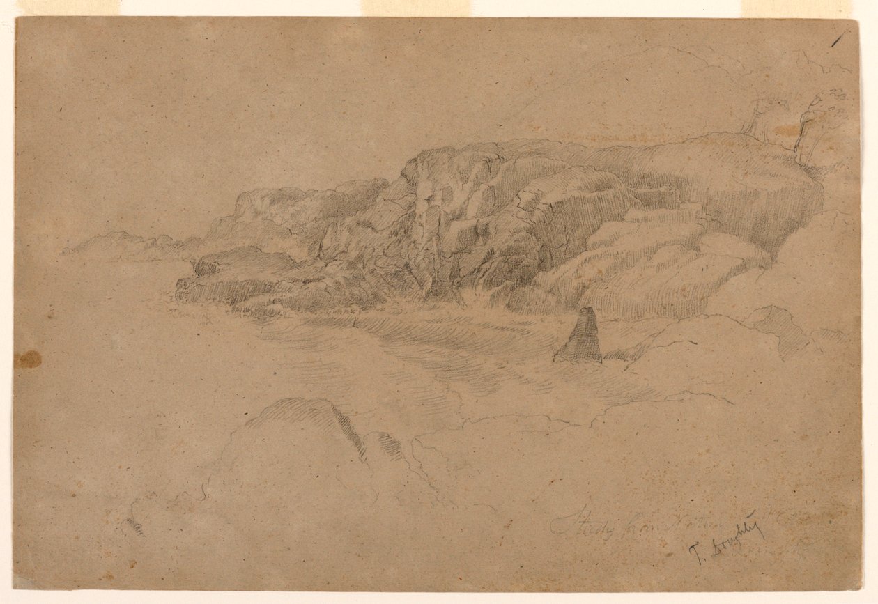Studiuj z natury autorstwa Thomas Doughty
