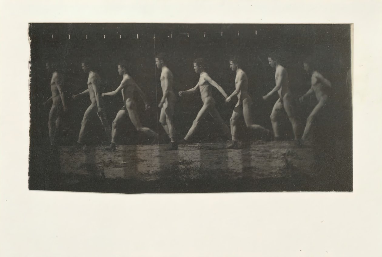Fotografie Marey Wheel niezidentyfikowanego modelu, 1884. autorstwa Thomas Eakins