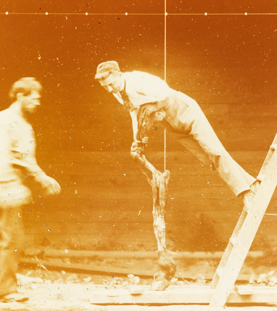 [Studie der Muskelaktion: Junger Mann lehnt an einem Pferdebein] autorstwa Thomas Eakins