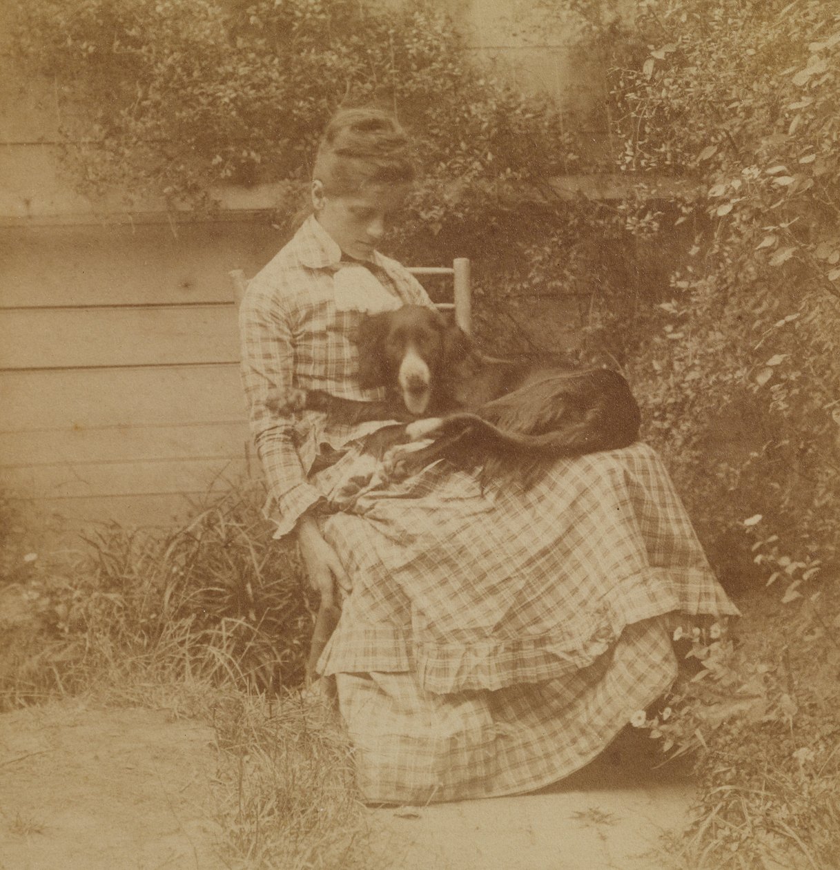 [Susan Macdowell (później pani Thomas Eakins) z seterem] autorstwa Thomas Eakins