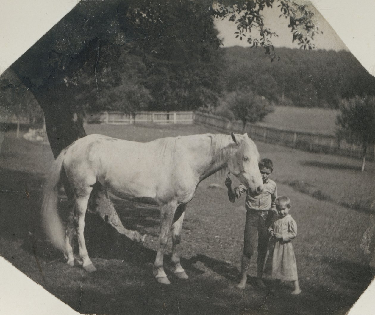 Koń Billy i dwoje dzieci Crowella Thomasa Eakinsa w Avondale w Pensylwanii, ca. 1892. autorstwa Thomas Eakins