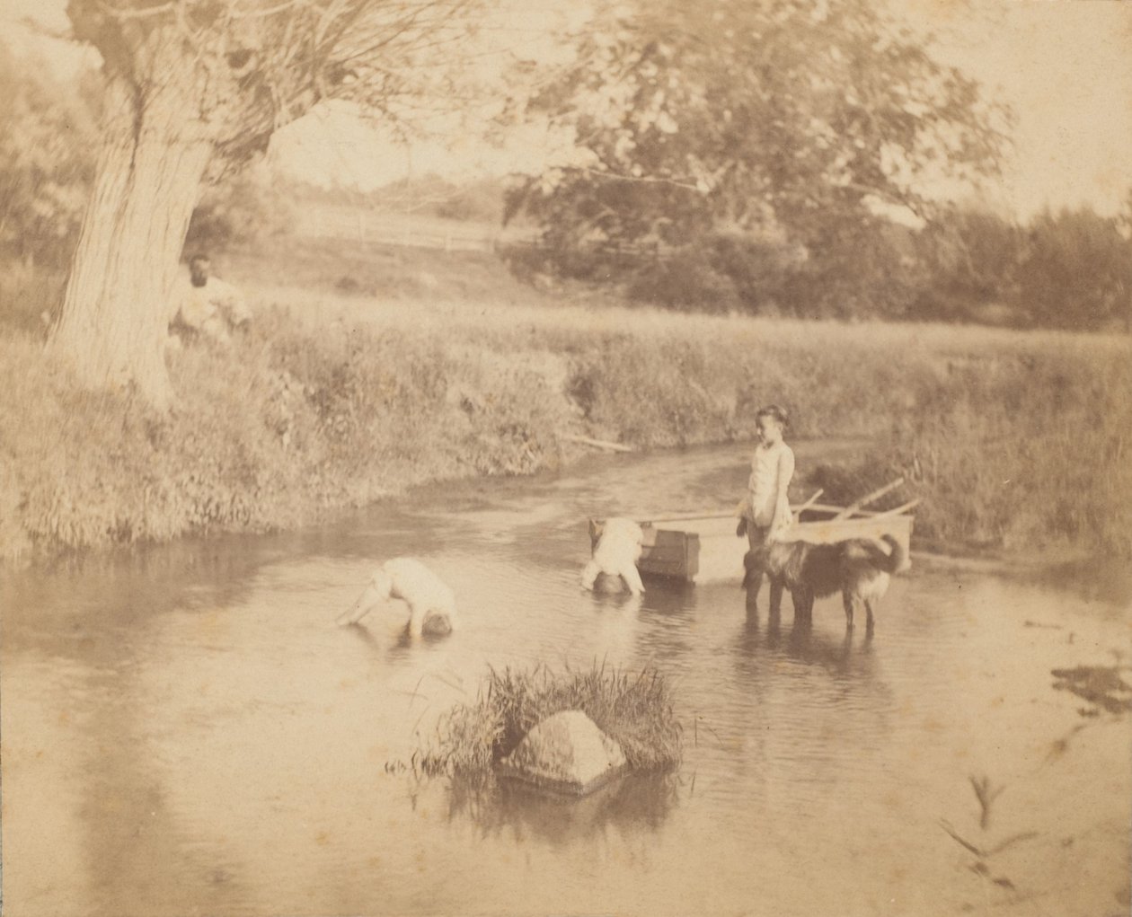 [Trzy dzieci i pies bawiące się w potoku, 4 lipca 1883, 1883., 1883. autorstwa Thomas Eakins