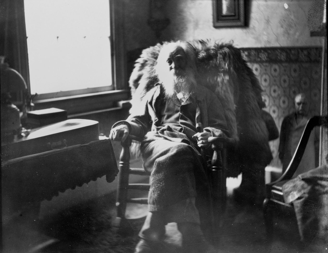 Walt Whitman w Camden w stanie New Jersey autorstwa Thomas Eakins