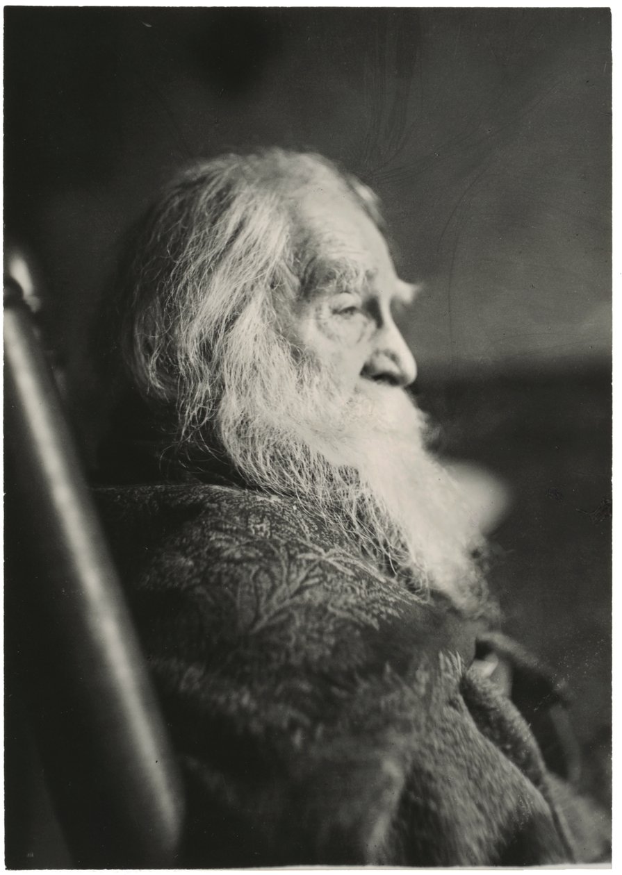 Walt Whitman w Camden w stanie New Jersey autorstwa Thomas Eakins