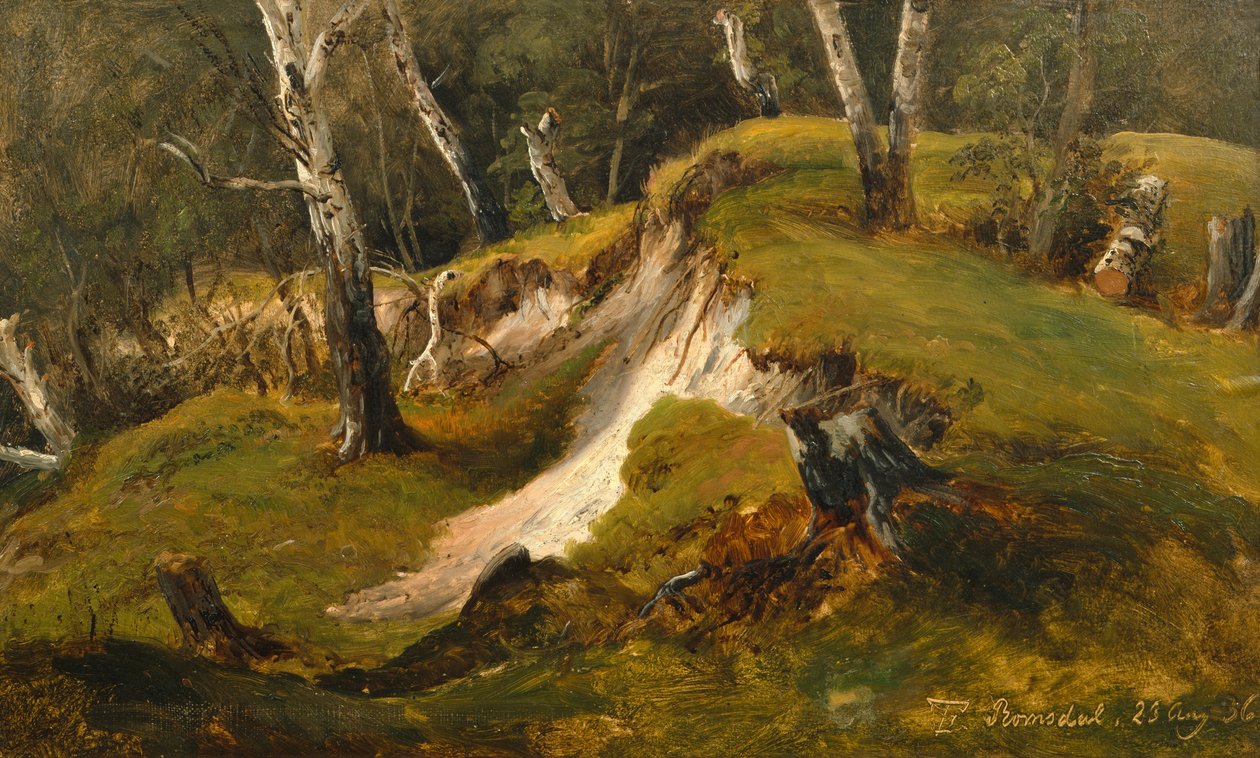 Zapasy Birck w Romsdal autorstwa Thomas Fearnley
