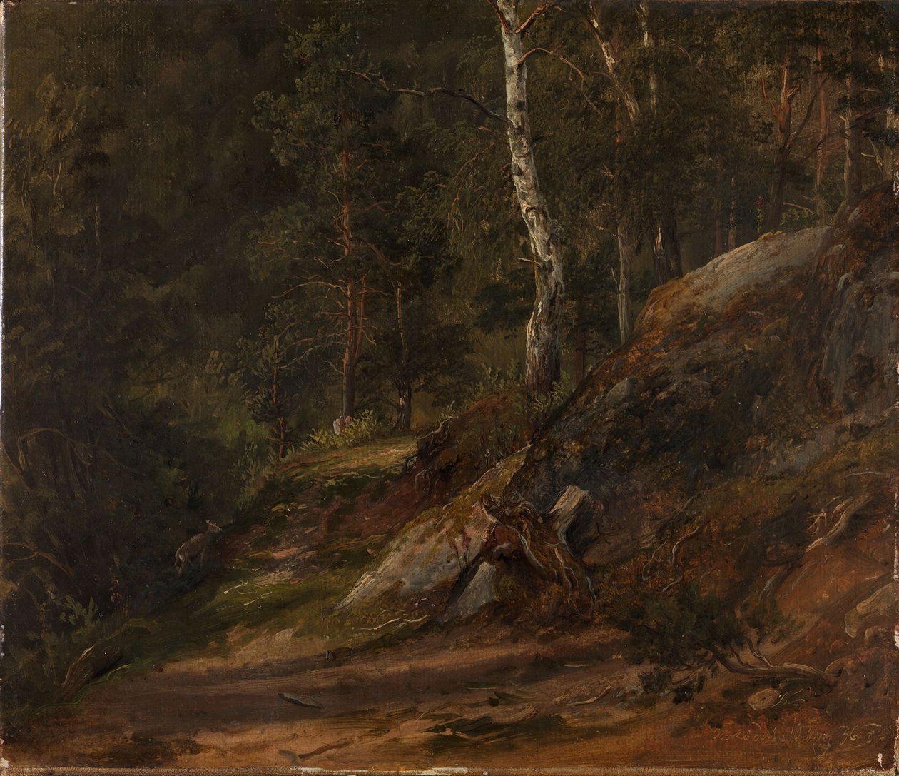 Studium lasu z Romsdalu autorstwa Thomas Fearnley