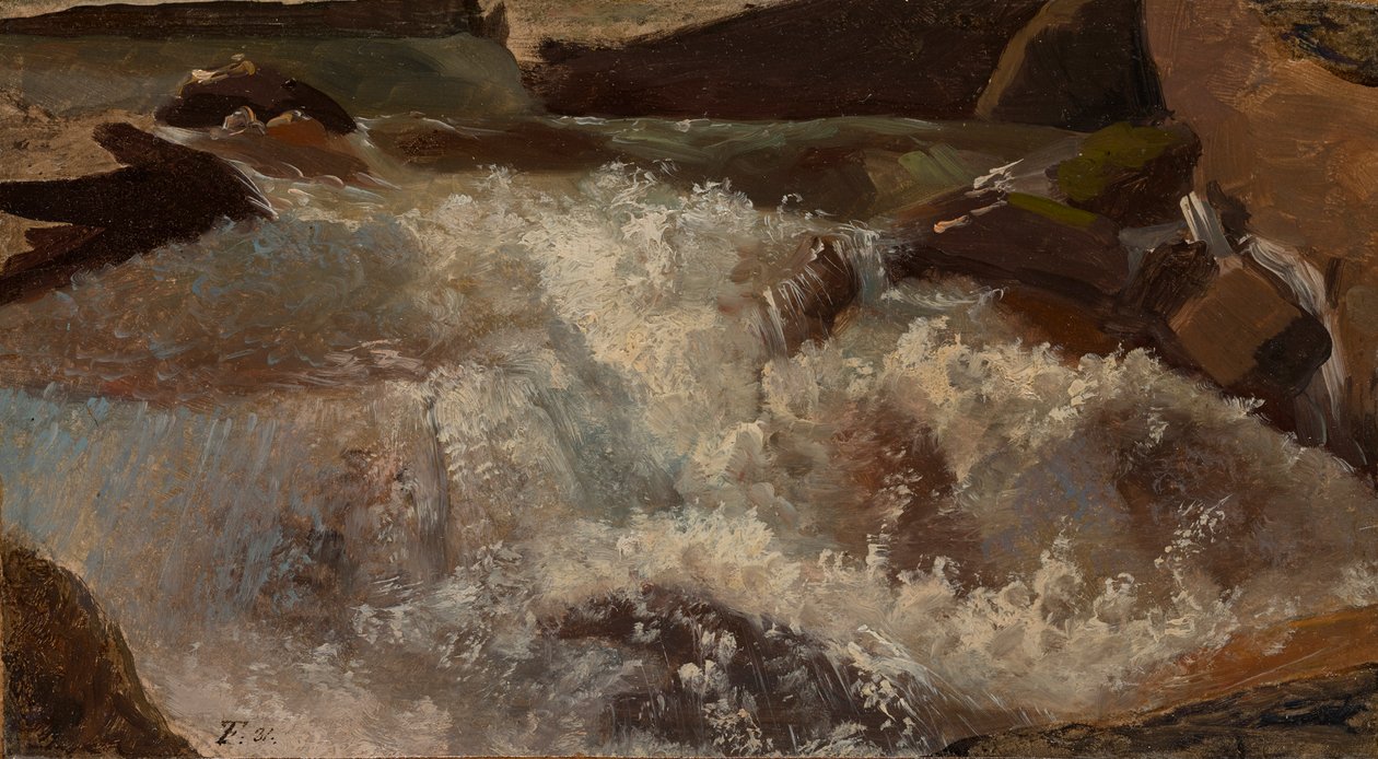 Wody burzliwe. Studium natury autorstwa Thomas Fearnley