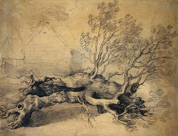 Powalone drzewo z zabudowaniami gospodarczymi za nim (ołówek na papierze) autorstwa Thomas Gainsborough