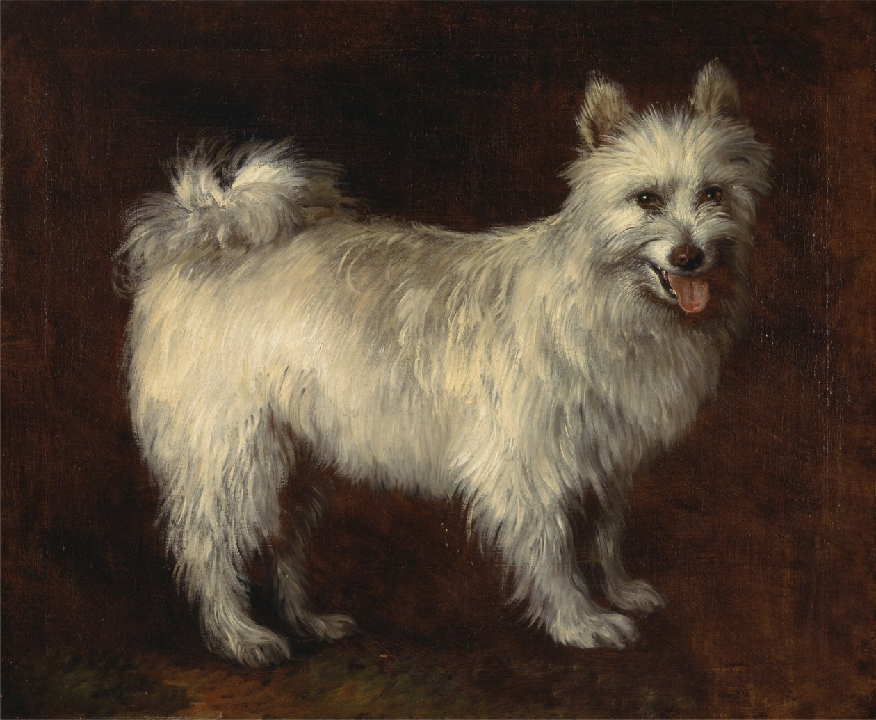 szpic pies autorstwa Thomas Gainsborough