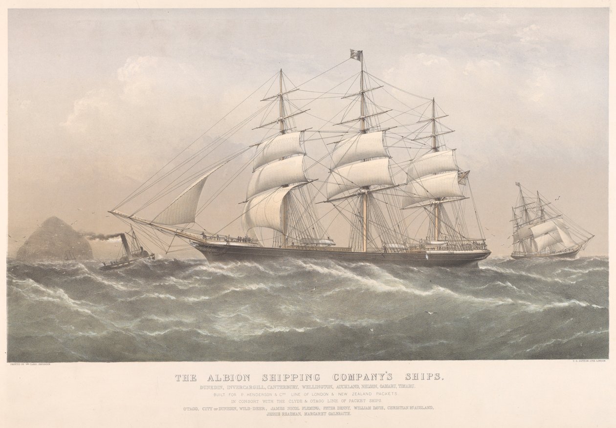 Statki Albion Shipping Company (kolorowa litografia) autorstwa Thomas Goldsworth Dutton