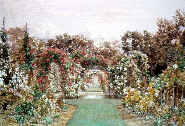 Crimson Rambler w Clandon Park autorstwa Thomas H. Hunn