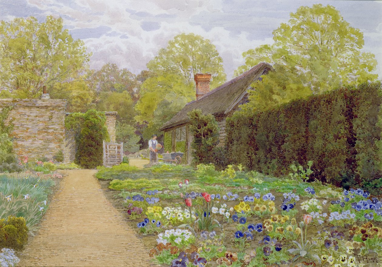 Pansy Garden, Munstead Wood, Surrey, dom Gertrude Jekyll; autorstwa Thomas H. Hunn