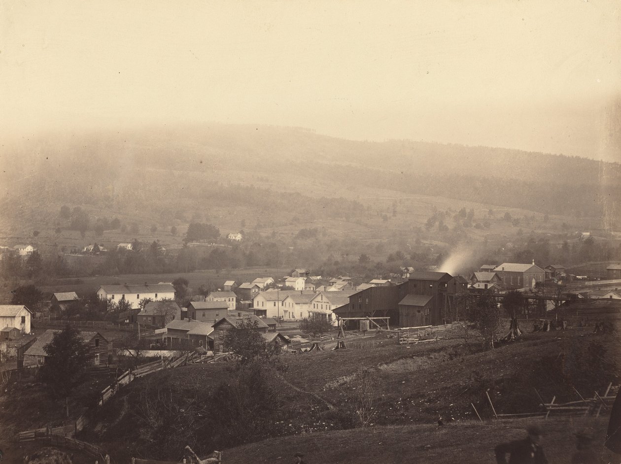 Olifant, ok. 1863-1865. autorstwa Thomas H. Johnson