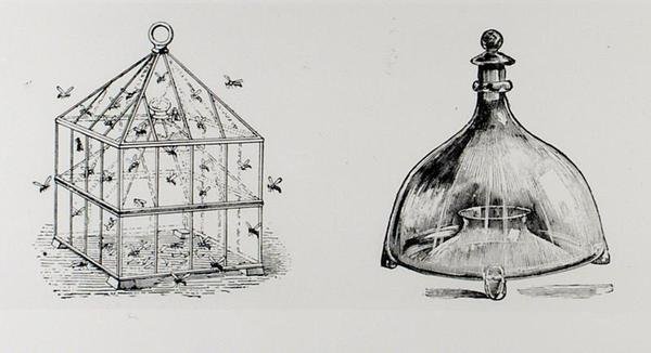 Pułapki na osy i muchy, z książki Thomasa Mawsona „The Art and Craft of Garden Making”, opublikowane w 1900 r. (rycina) (zdjęcie czarno-białe) autorstwa Thomas Hayton Mawson