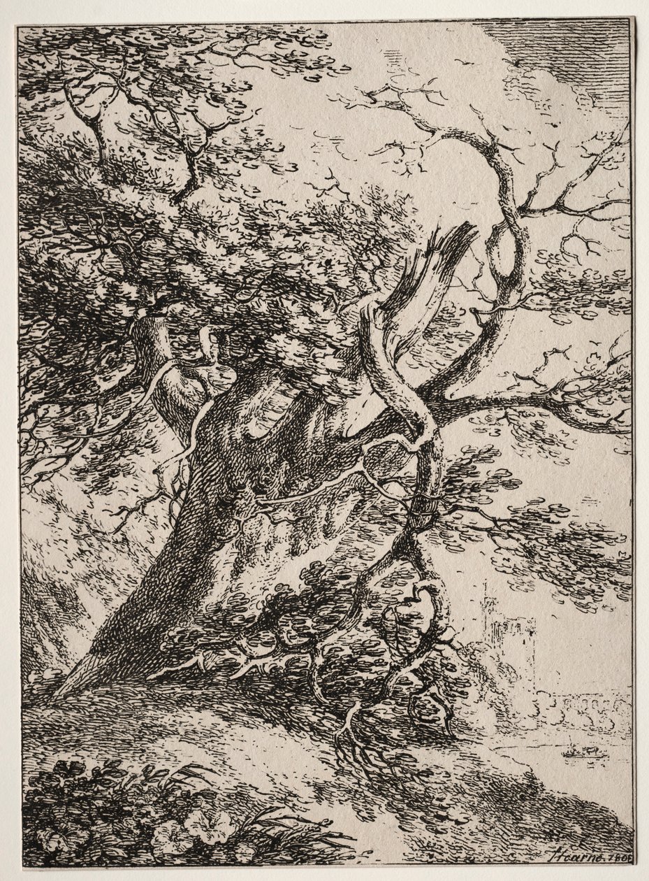 Okazy poliautografii: Pejzaż z dębem, 1803. autorstwa Thomas Hearne