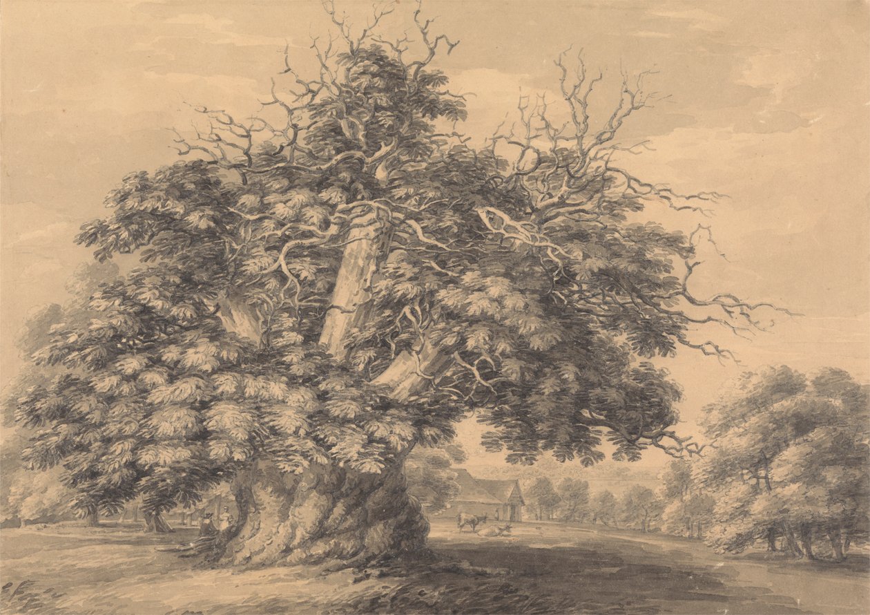 polish autorstwa Thomas Hearne