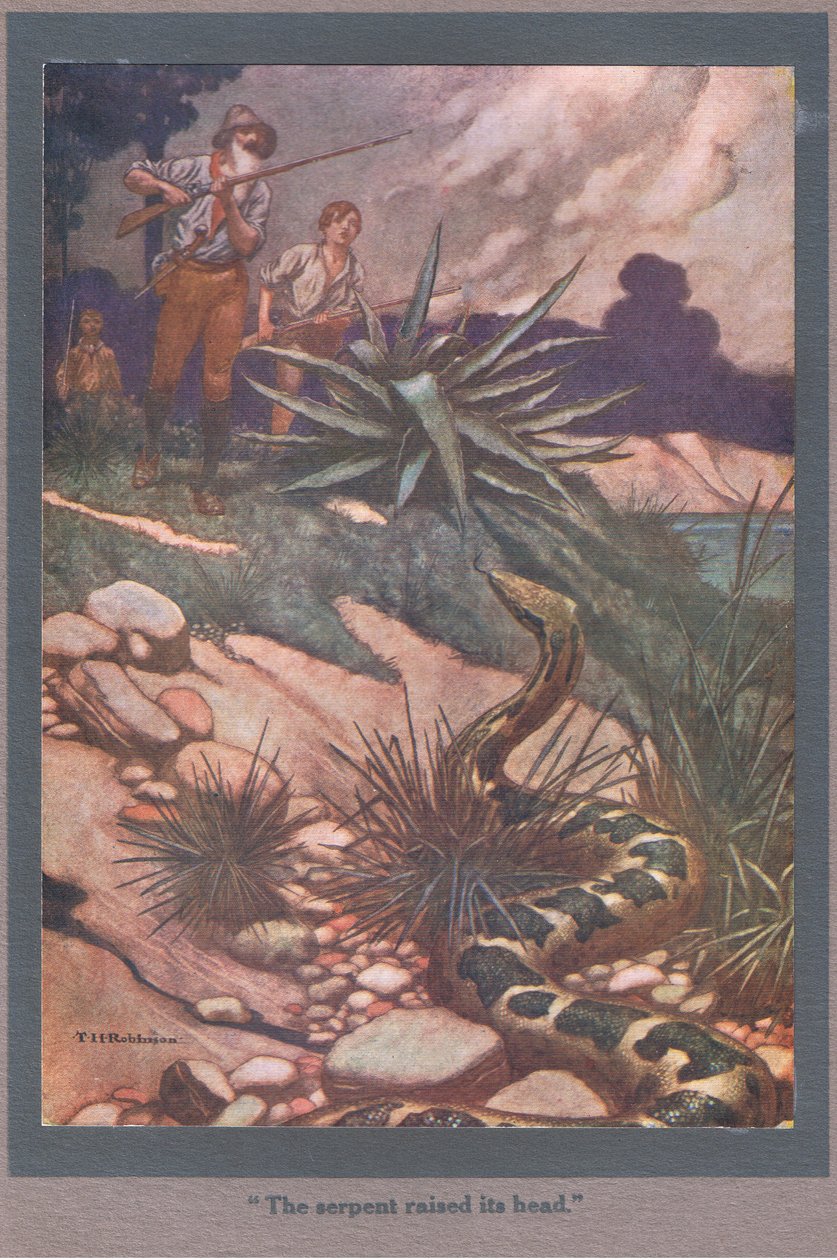 Wąż podniósł głowę (kolorowa litografia) autorstwa Thomas Heath Robinson