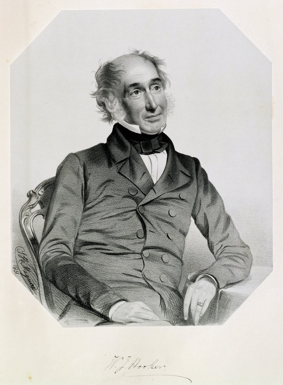 Sir William Jackson Hooker (1785-1865) 1851 autorstwa Thomas Herbert Maguire