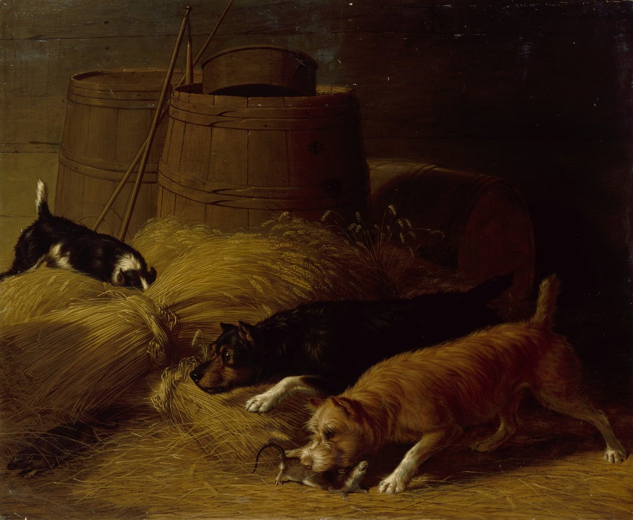 Szczury wśród snopów jęczmienia, 1851. autorstwa Thomas Hewes Hinckley