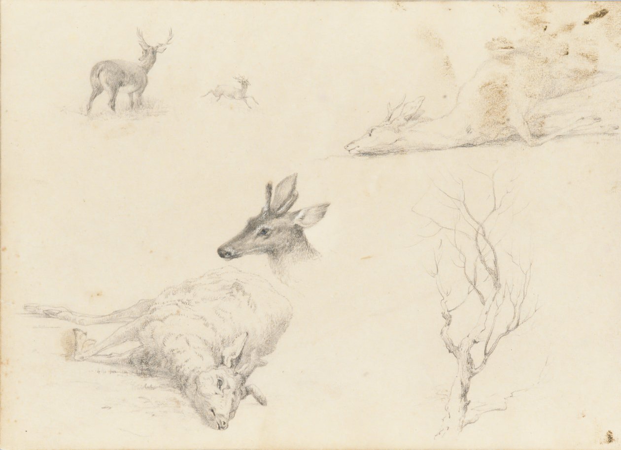 Szkicownik krajobrazu i tematyki zwierzęcej, 1860-64. autorstwa Thomas Hewes Hinckley