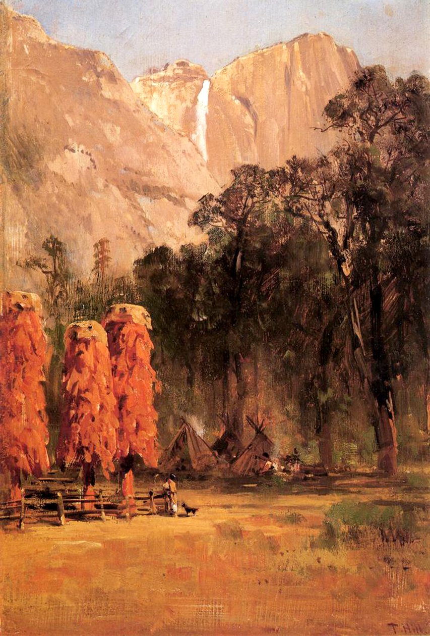 Acorn Spichle of the Paiute Indians, ok. 1873 (olej na papierze na pokładzie) autorstwa Thomas Hill