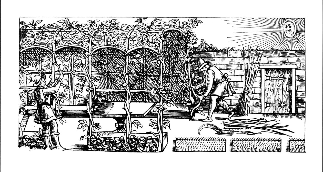 Altana budowana jako cień przed słońcem, z "Labiryntu ogrodnika", 1586 r. autorstwa Thomas Hill