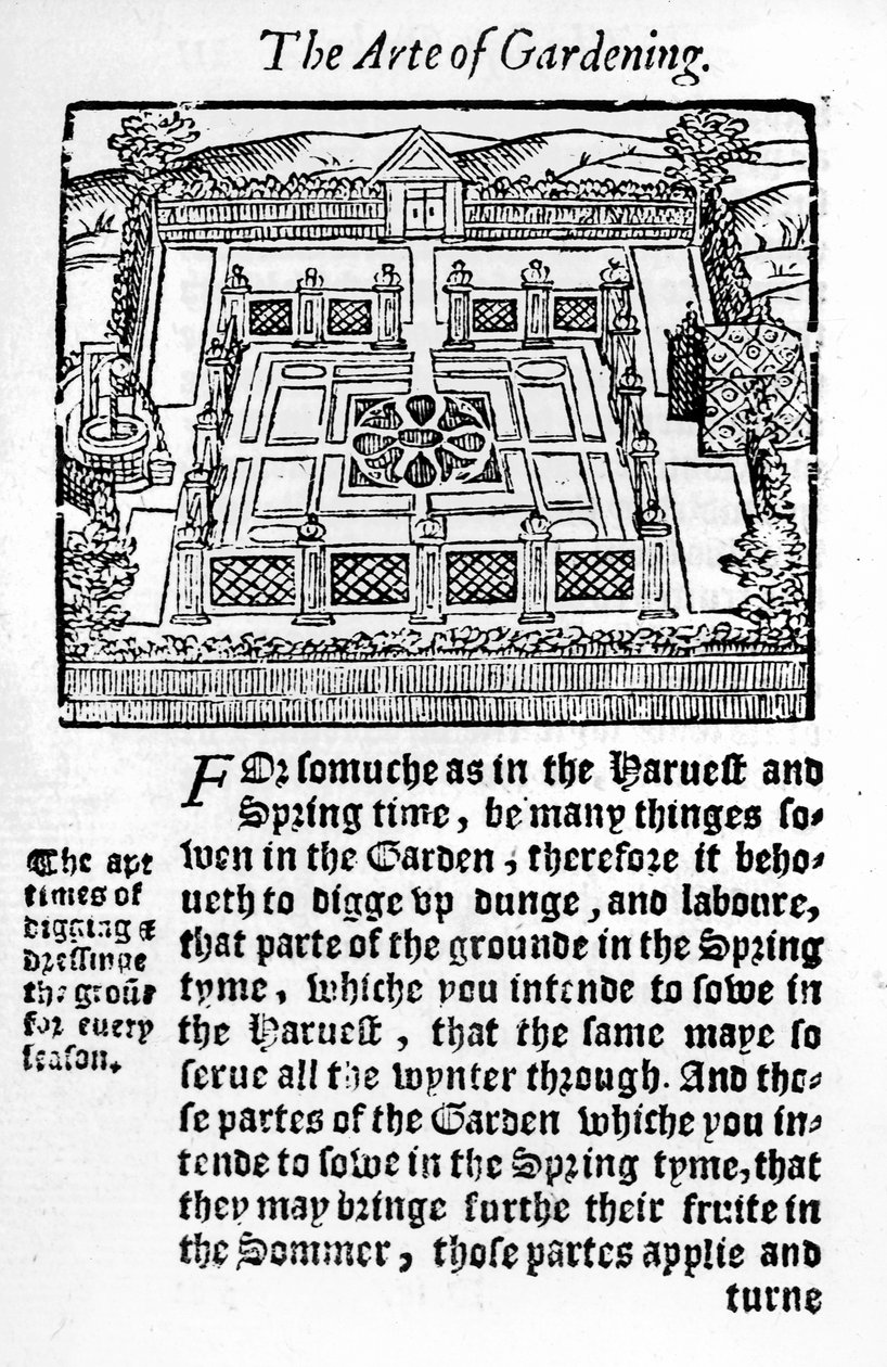 Ogród elżbietański z Dochodowej sztuki ogrodniczej, 1568 autorstwa Thomas Hill