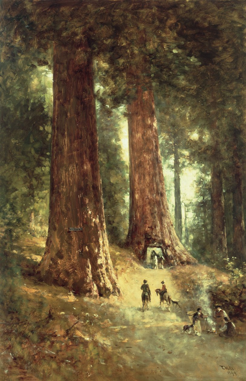 W sekwoi, 1899 autorstwa Thomas Hill