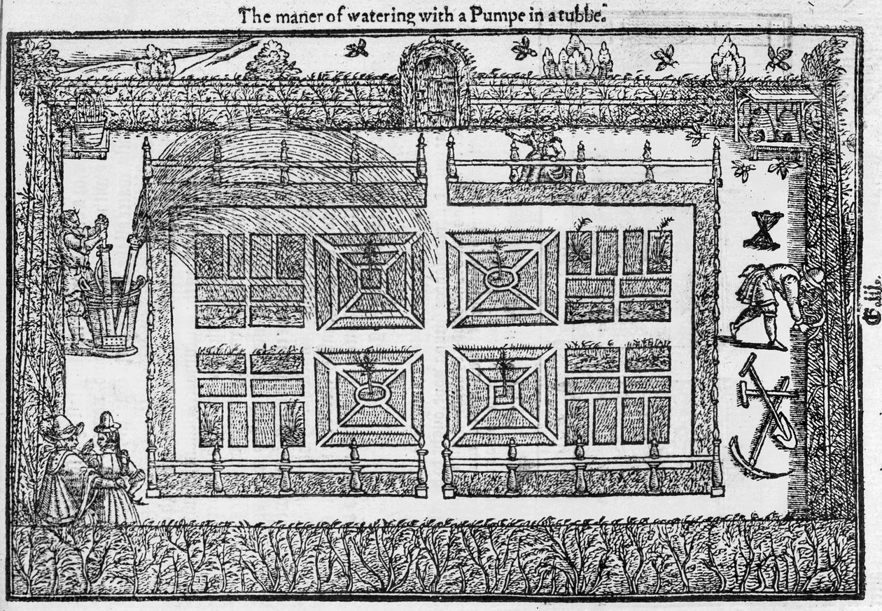 Sposób podlewania pompą w tubie, z Labiryntu Ogrodnika, 1577 autorstwa Thomas Hill