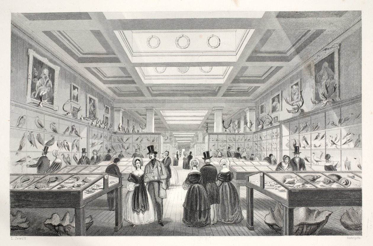 British Museum, Zoological Gallery, z pubu „London Interiors withich Costumes and Ceremonies”. Joseph Mead, Londyn, c.1843 (rycina stalowa) autorstwa Thomas Hosmer Shepherd
