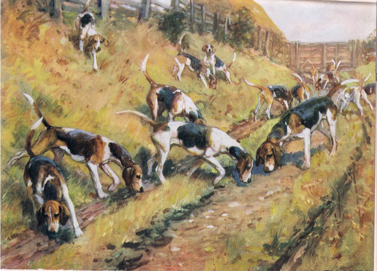 Nos do ziemi, ilustracja z „Ogarów” autorstwa Thomas Ivester Lloyd