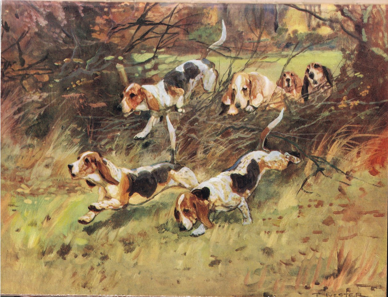 Przez żywopłot, ilustracja z „Ogarów” autorstwa Thomas Ivester Lloyd