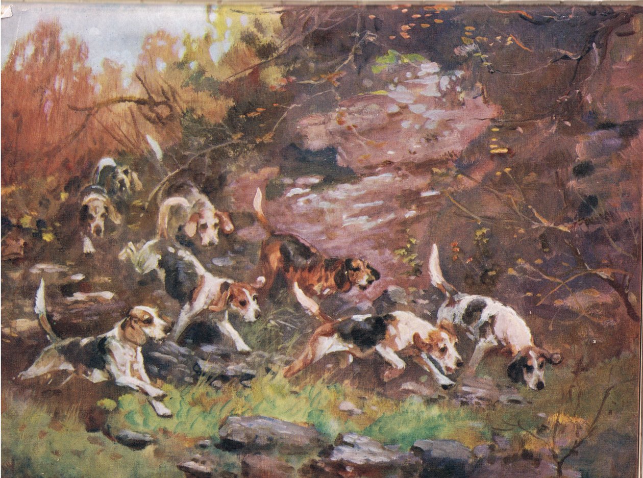 Przez zarośla, ilustracja z „Ogarów” autorstwa Thomas Ivester Lloyd