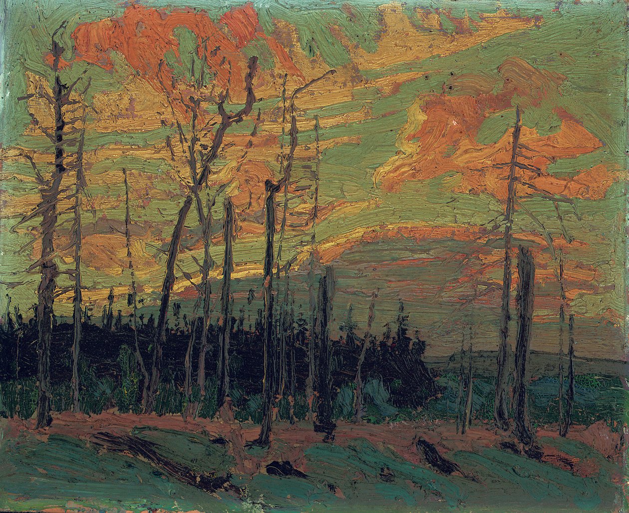 Ziemia spalona o zachodzie słońca, 1915 autorstwa Tom Thomson