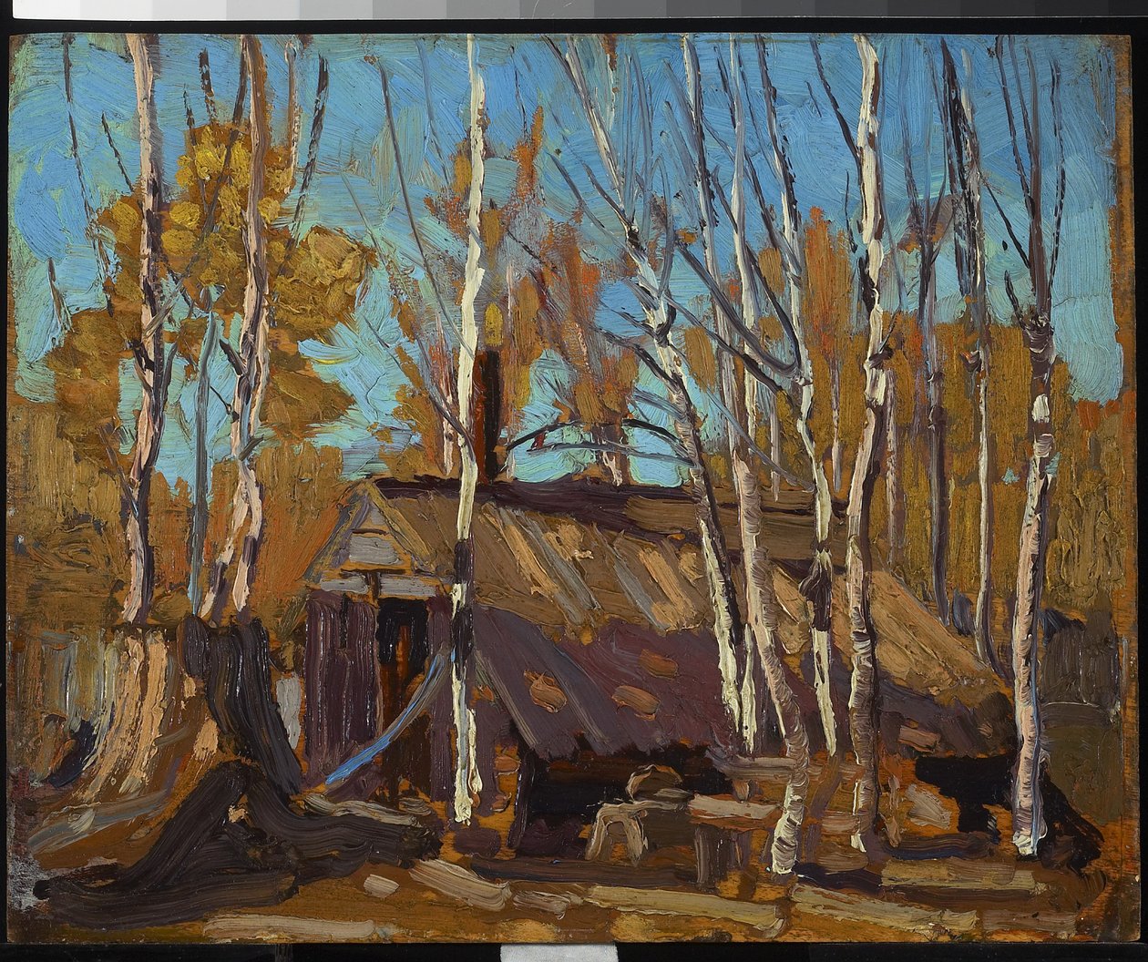 Shack na północy kraju, 1914 (olej na desce) autorstwa Tom Thomson