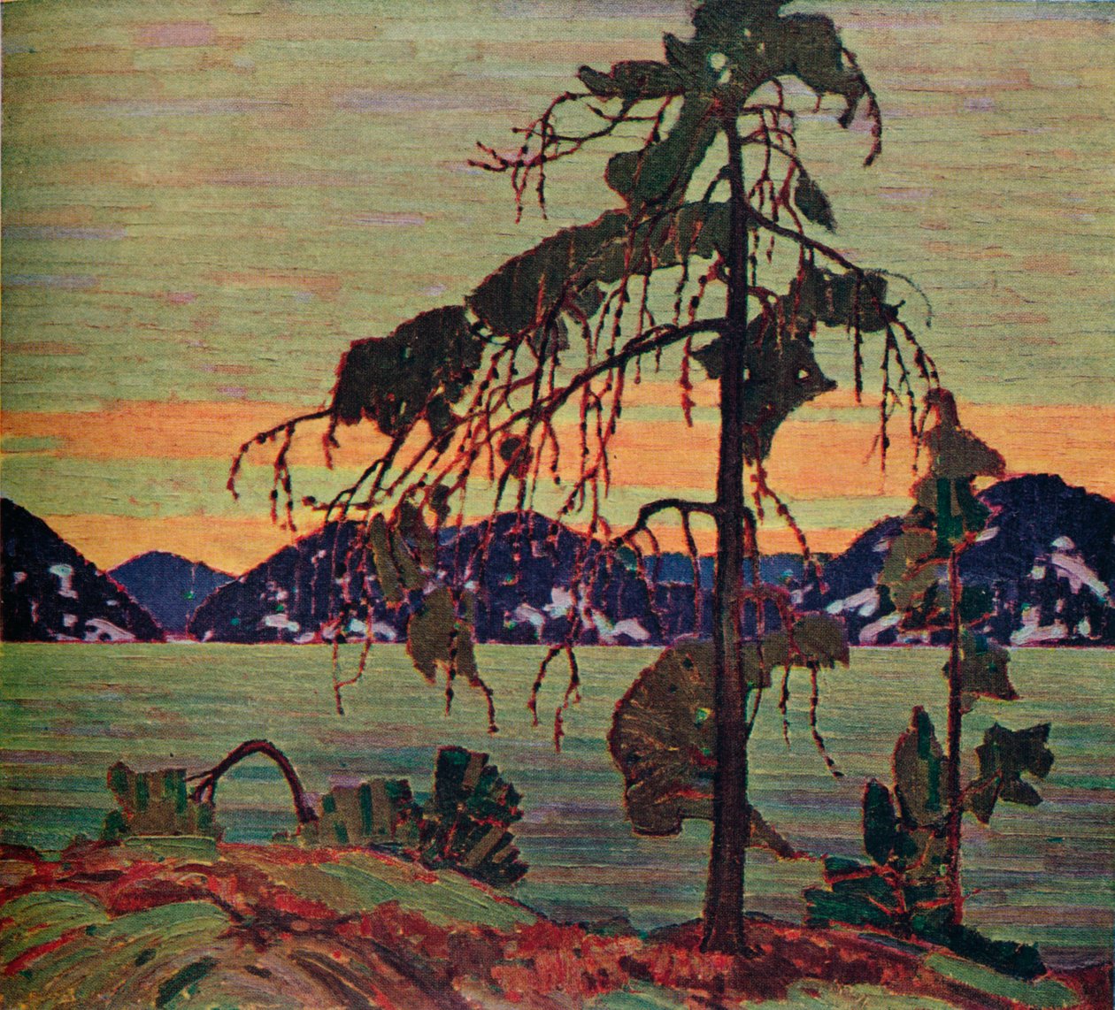 Sosna Jacka, 1917. 1925 autorstwa Tom Thomson