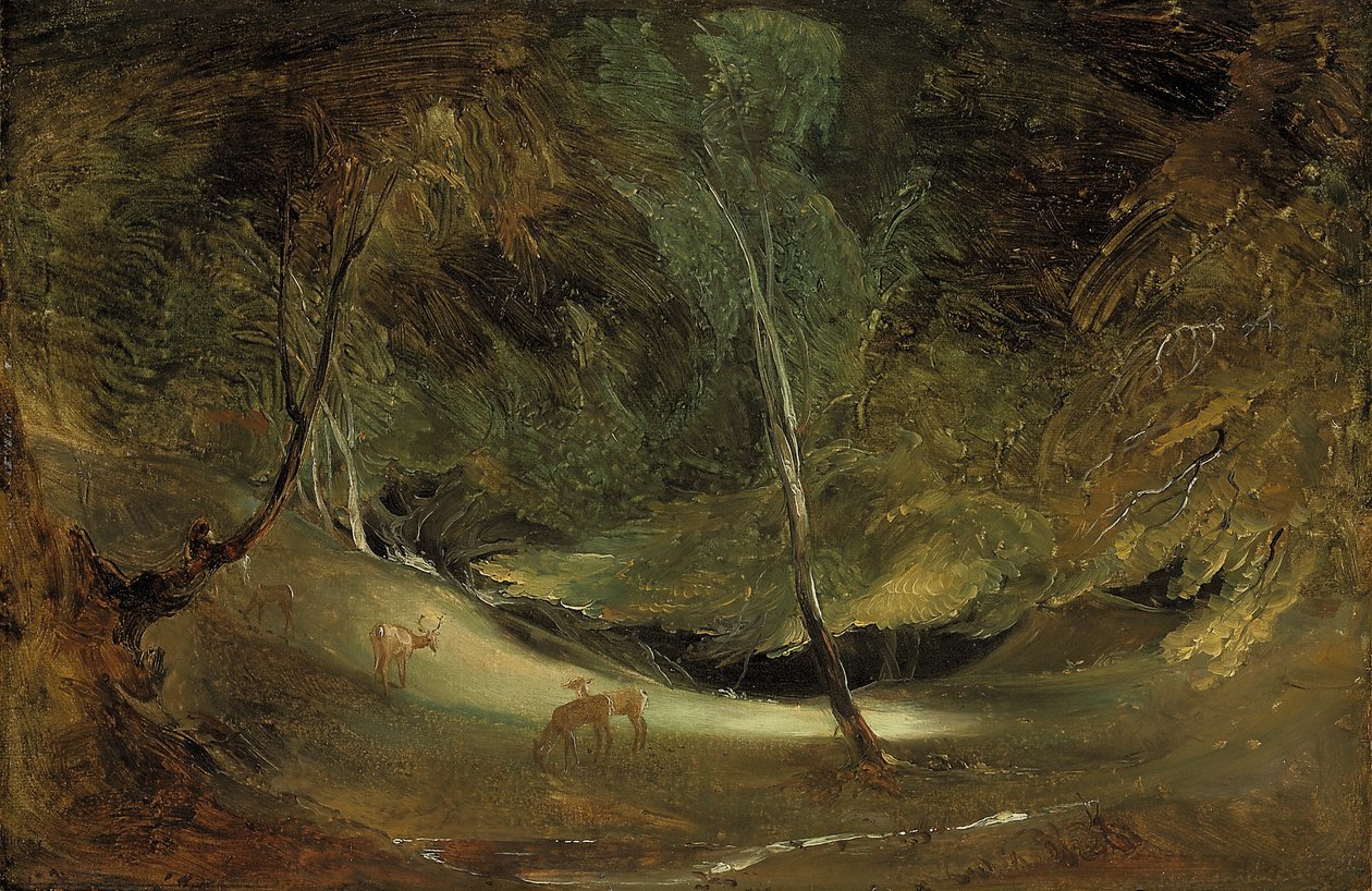 Źródło rozmaitości w Ilam Park (olej na papierze, ułożony na płótnie) autorstwa Thomas Lawrence