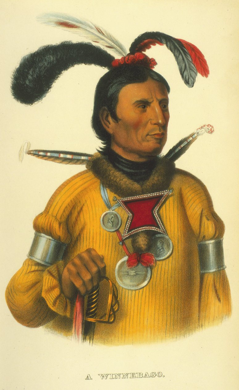 Winnebago, 1854 (ręcznie kolorowana litho) autorstwa Thomas Loraine McKenney