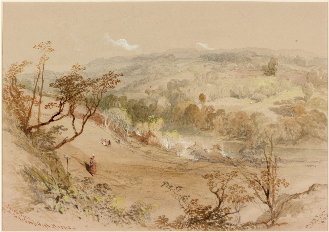 On the North Tyne Opposite Acomb High Barns (kolor nadwozia) autorstwa Thomas Miles II Richardson