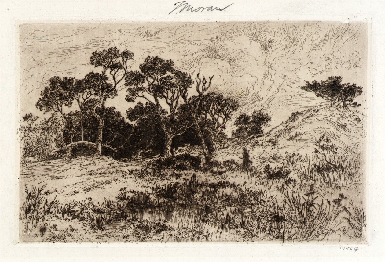 Południowy wiatr autorstwa Thomas Moran