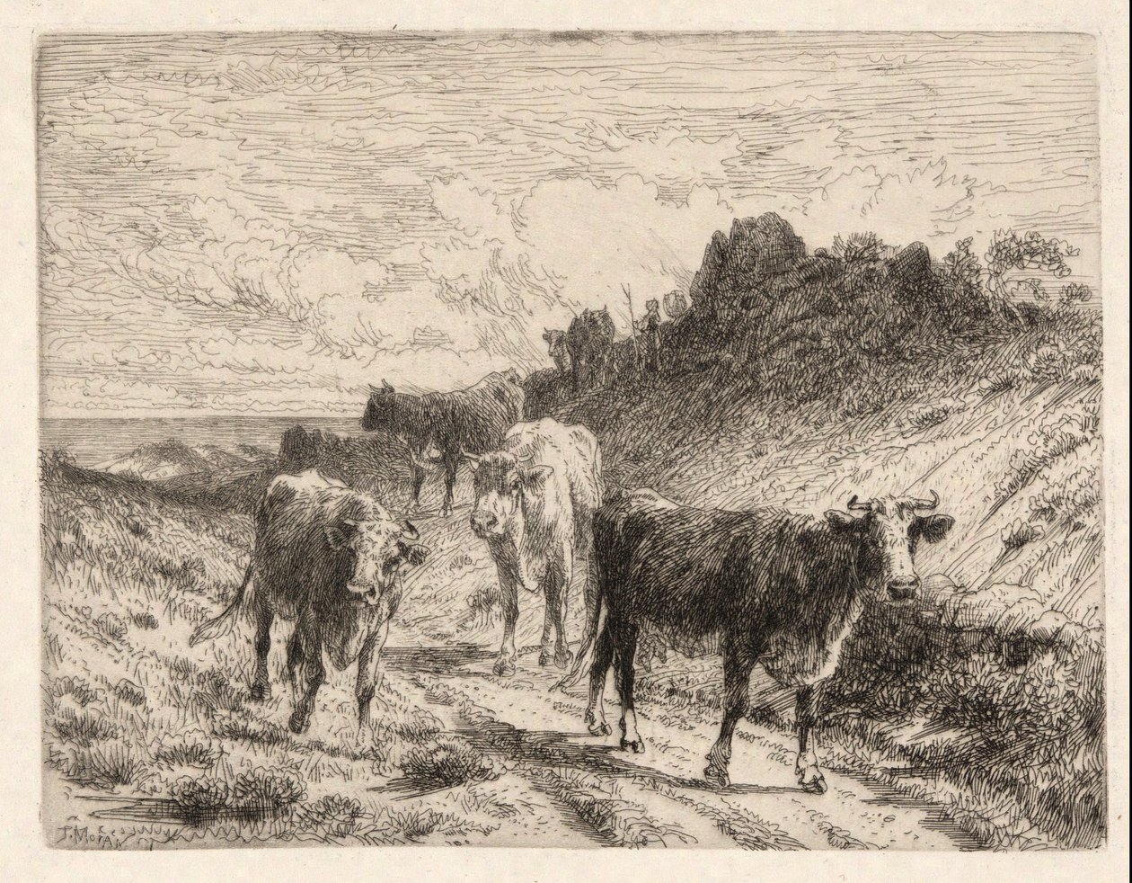 Krowy autorstwa Thomas Moran