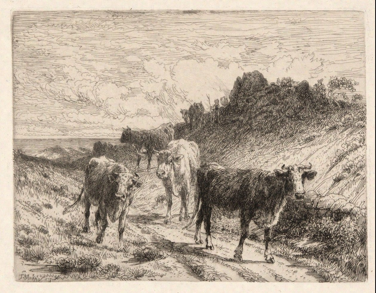 Krowy autorstwa Thomas Moran