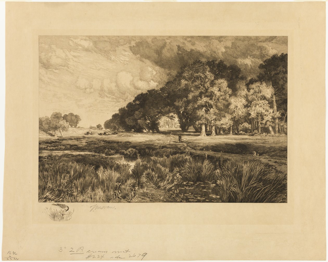 Krajobraz Long Island autorstwa Thomas Moran