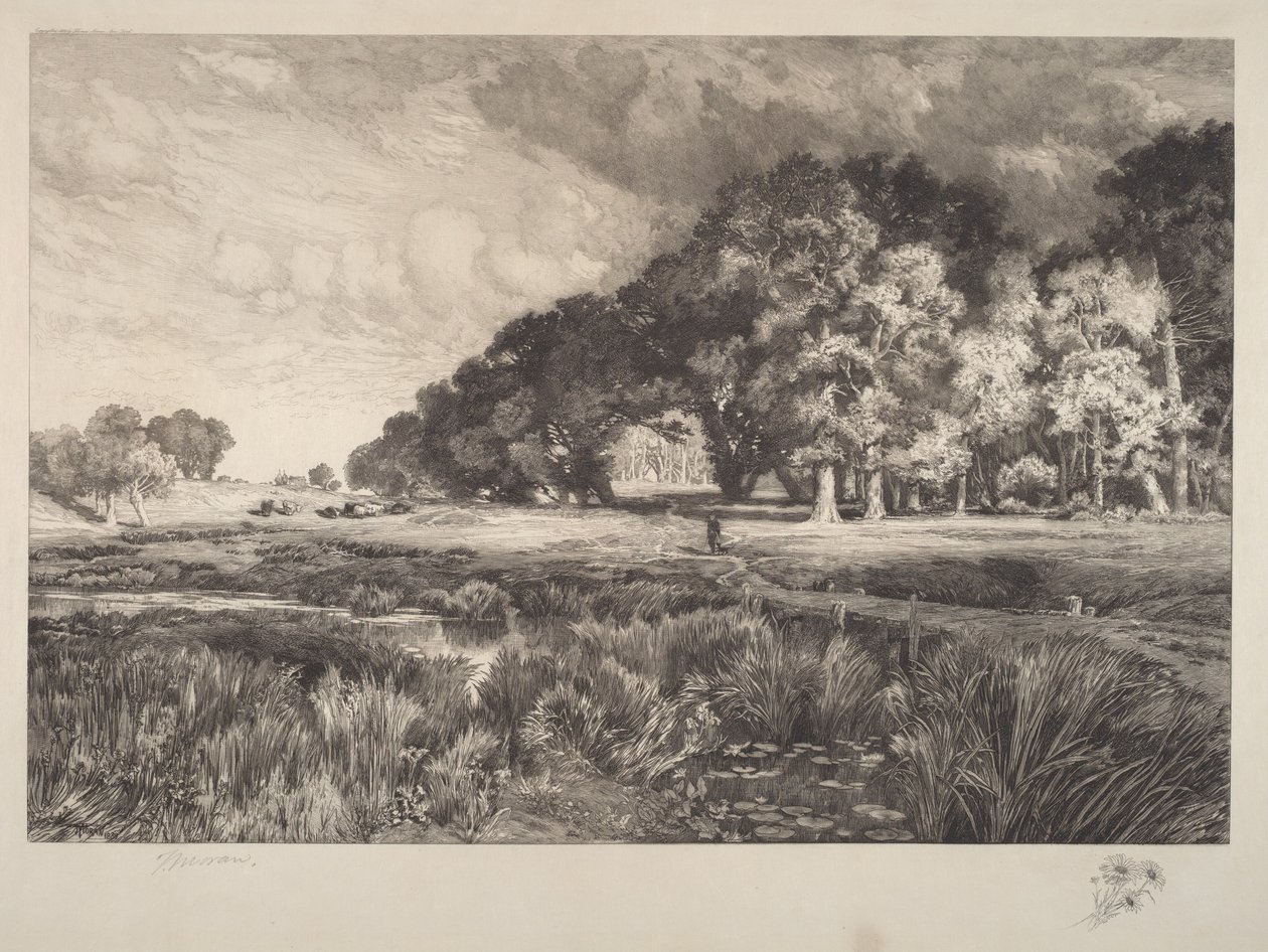 Krajobraz Long Island autorstwa Thomas Moran