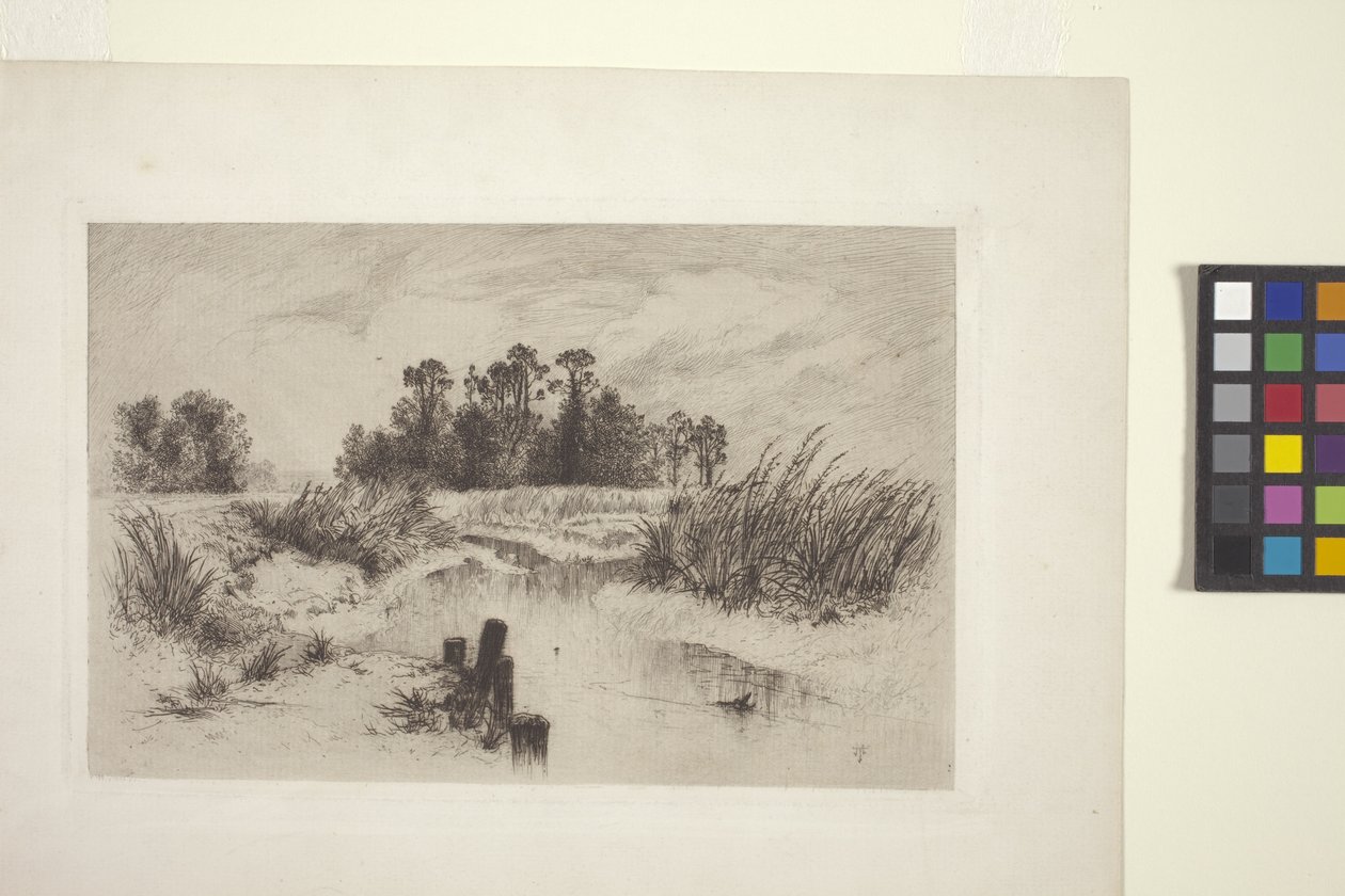Bagienny pejzaż ze strumieniem (akwaforta na papierze) autorstwa Thomas Moran